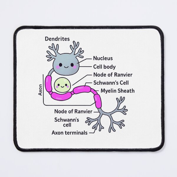Item preview, Anatomy Of Neuron Neurologist designed and sold by queenzoid.