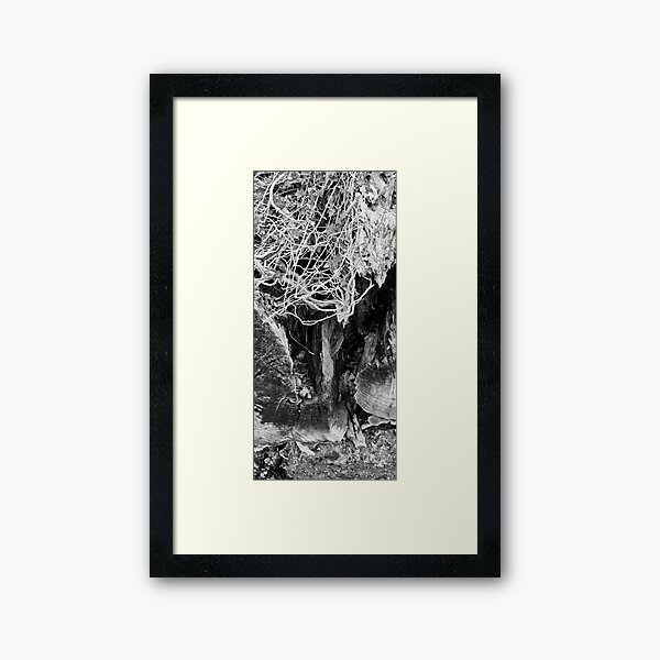 The Wonder of Nature Monochrome Coastline Photography by Blink Friction Framed Art Print