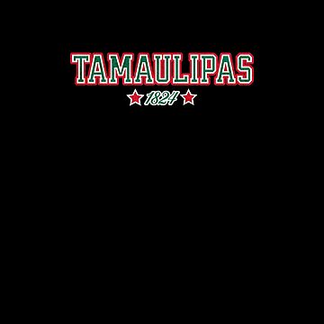 Artwork thumbnail, Tamaulipas Mexico | Green, White, Red Colors with Historic Statehood Year by Ikon-Luminis