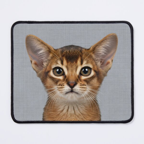 Item preview, Baby Abyssinian Cat on Grasscloth Fabric – Cute Jungle Cub designed and sold by svarupa.