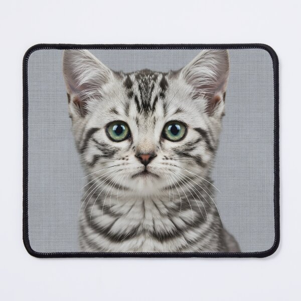 Item preview, Baby American Shorthair Cat on Grasscloth Fabric – Cute Jungle Cub designed and sold by svarupa.