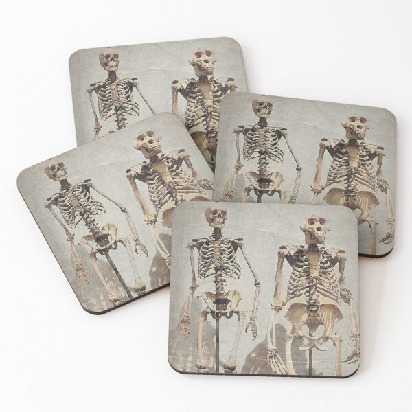 Item preview, Human and Gorilla Skeletons (c. 1860) designed and sold by 19th Century in Color.