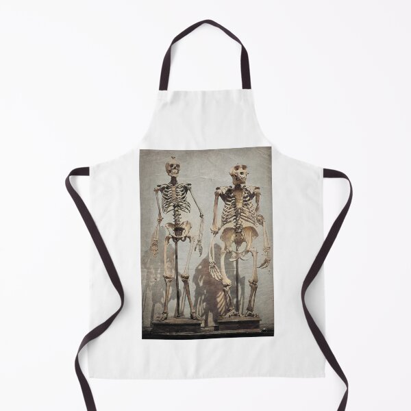 Item preview, Human and Gorilla Skeletons (c. 1860) designed and sold by 19th Century in Color.