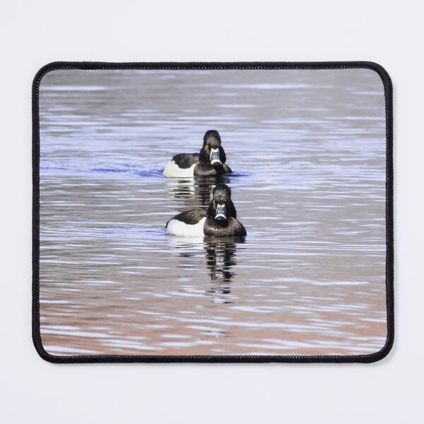 Item preview, Tranquil Duo - Nature photography designed and sold by charlysey278.