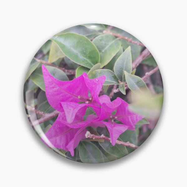 Item preview, Bougainvillea Spectabilis designed and sold by Quantum-Life.