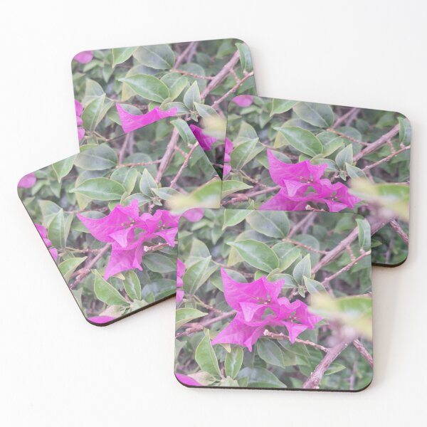 Item preview, Bougainvillea Spectabilis designed and sold by Quantum-Life.