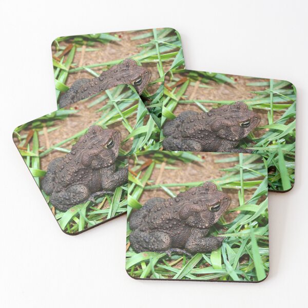 Item preview, American toad  designed and sold by McFleur's Lens.