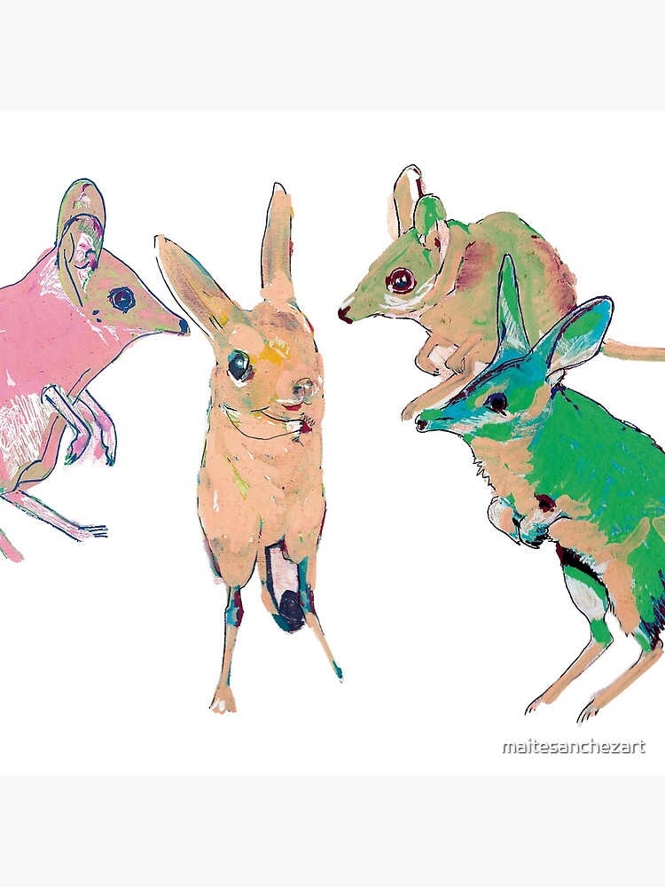 Thumbnail 4 of 4, Pillow, Antechinomys laniger designed and sold by maitesanchezart.