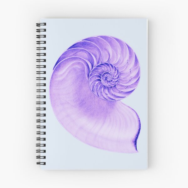 Item preview, Large Purple Conch Shell Fossil designed and sold by IrisAndIvy.