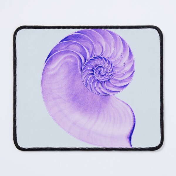 Item preview, Large Purple Conch Shell Fossil designed and sold by IrisAndIvy.
