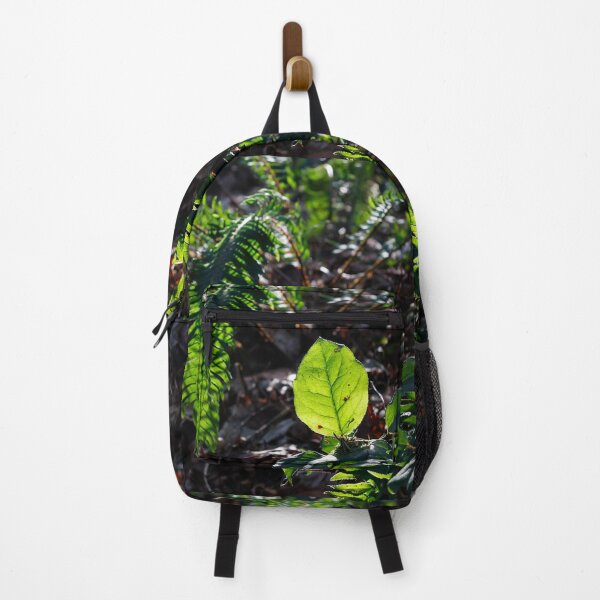 Item preview, Salal Leaf Capturing A Winter Sun by teakae designed and sold by tk-and-plants.