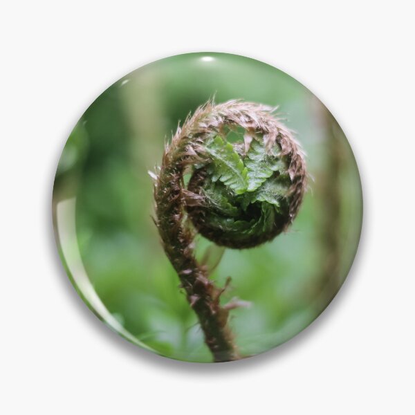 Item preview, A Lady Fern's Unfurling Frond by teakae designed and sold by tk-and-plants.