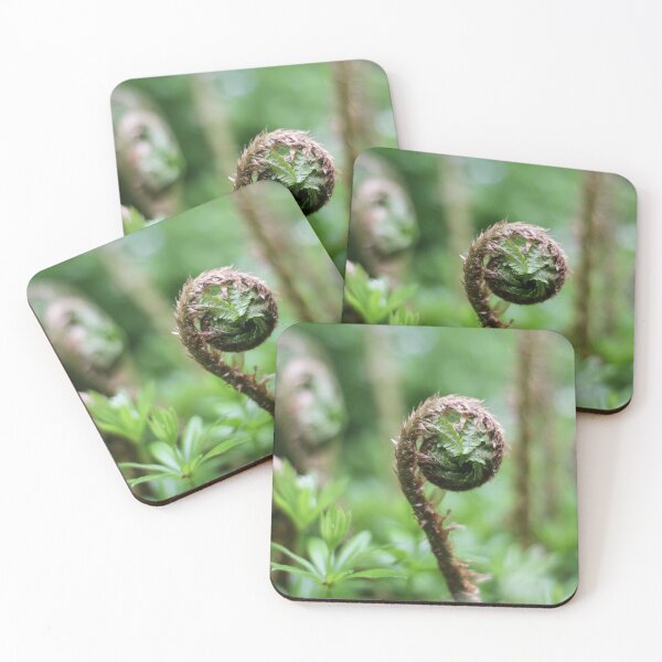 Item preview, A Lady Fern's Unfurling Frond by teakae designed and sold by tk-and-plants.