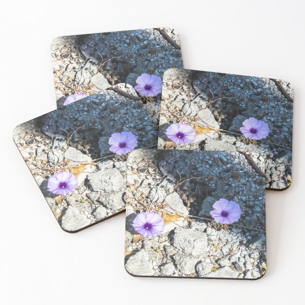 Item preview, flower on concrete. designed and sold by Nino rocha fotografia.