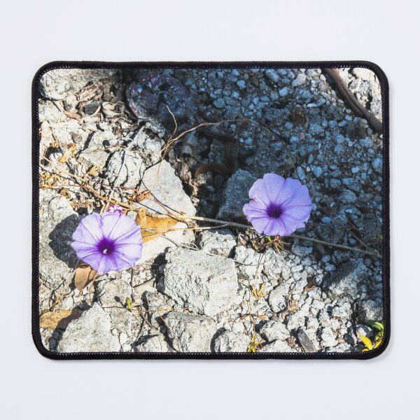 Item preview, flower on concrete. designed and sold by Nino rocha fotografia.
