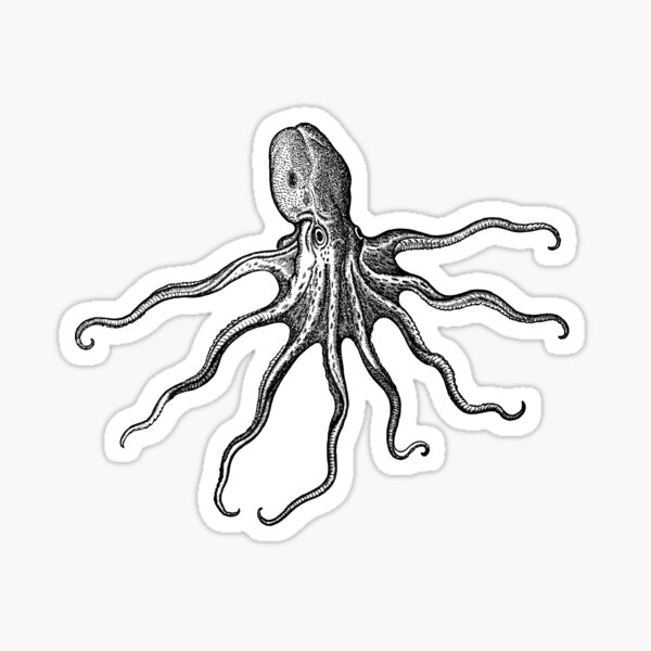 Item preview, Vintage Engraved Octopus designed and sold by Jennifer Chiera.