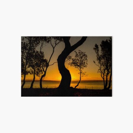 Sunset Seascape with Dancing Tree at Dolphin Reserve in Currarong, NSW Art Board Print
