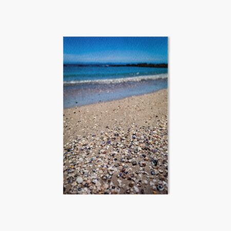 Wilson's Beach Detail With Shells Art Board Print