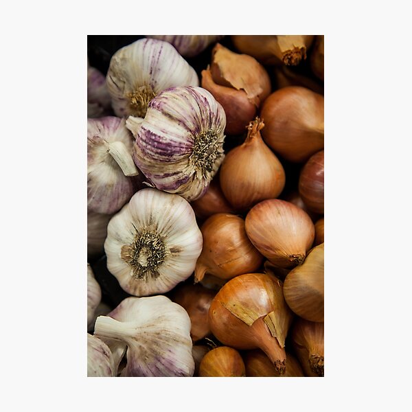 Garlic & Onions Photographic Print