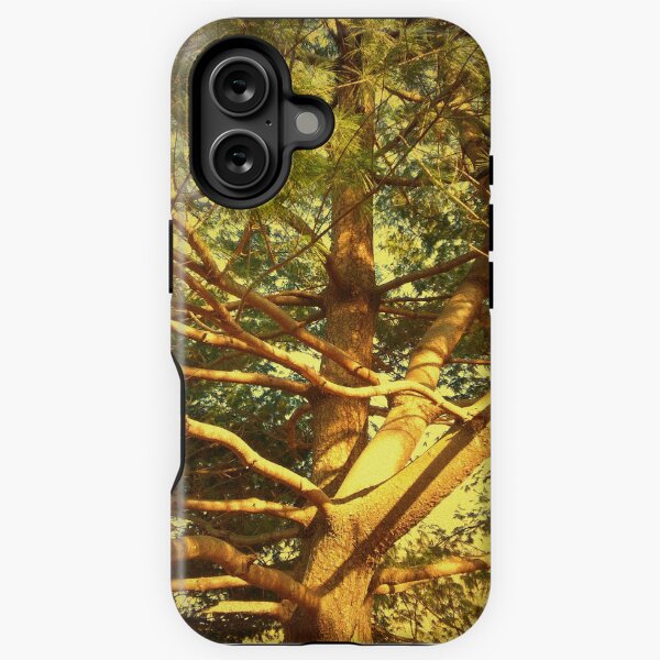 Golden Pine Tree iPhone Tough Case