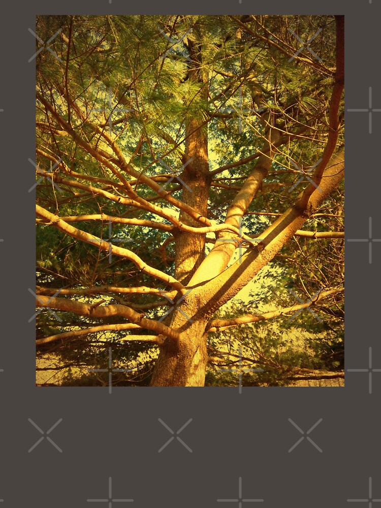 Thumbnail 7 of 7, Classic T-Shirt, Golden Pine Tree designed and sold by OneDayArt.