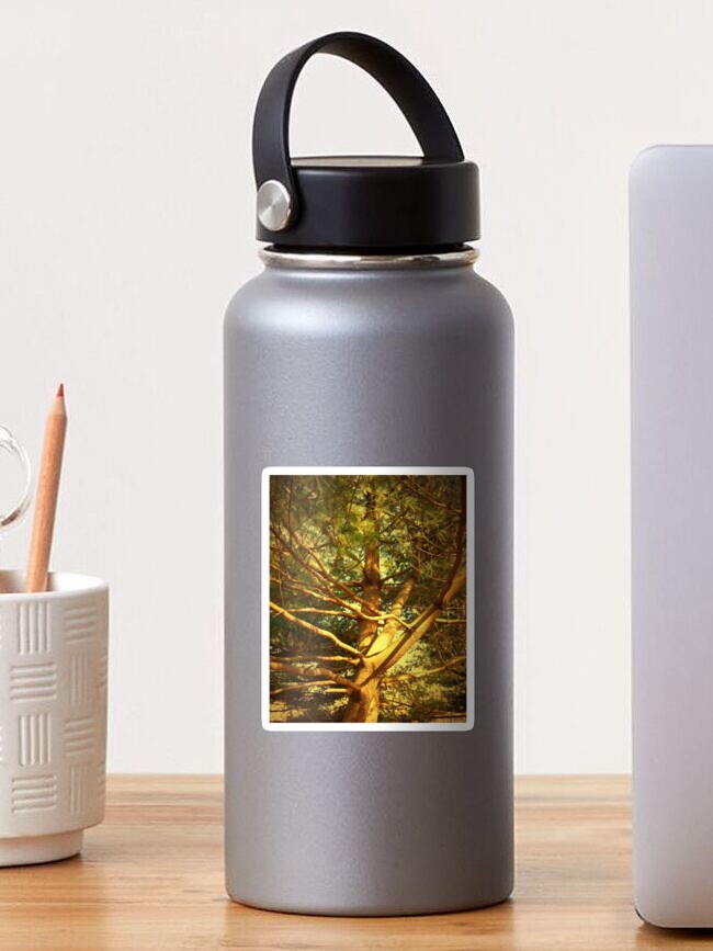 Thumbnail 1 of 3, Sticker, Golden Pine Tree designed and sold by OneDayArt.
