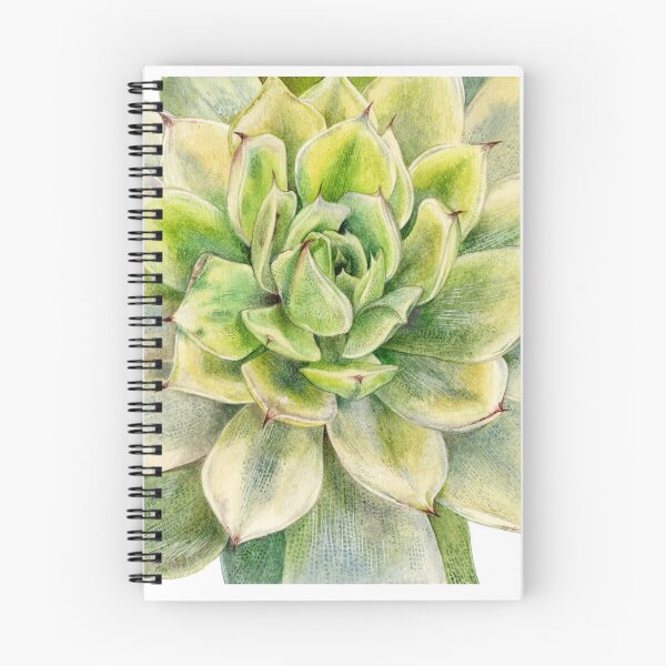 Item preview, Succulent Rosette - Botanical Art designed and sold by Stephanie Law.