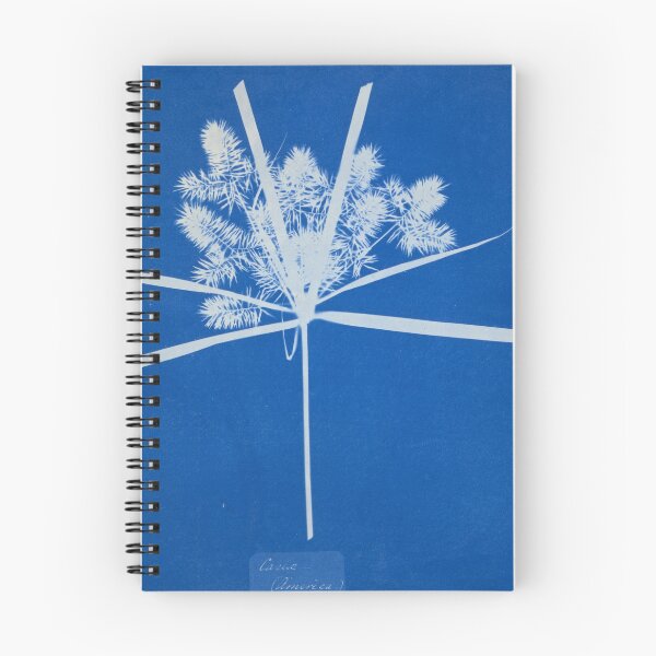 Item preview, North American Carex designed and sold by 19th Century in Color.