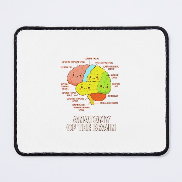 Item preview, Anatomy Of The Brain - Medical Science and Physiology designed and sold by queenzoid.