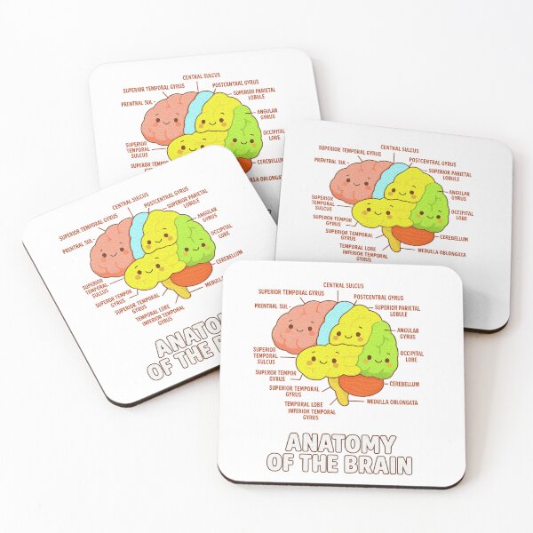 Item preview, Anatomy Of The Brain - Medical Science and Physiology  designed and sold by queenzoid.
