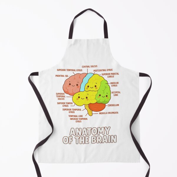 Item preview, Anatomy Of The Brain - Medical Science and Physiology designed and sold by queenzoid.