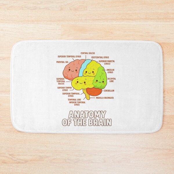 Item preview, Anatomy Of The Brain - Medical Science and Physiology  designed and sold by queenzoid.