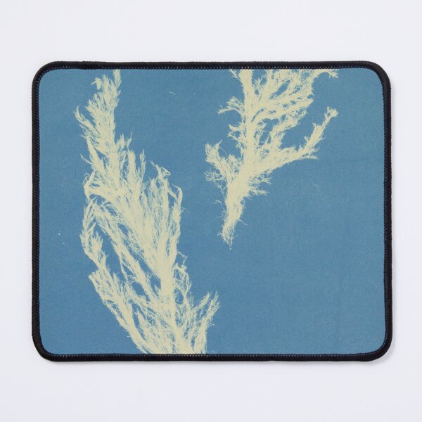 Item preview, Branching Algae designed and sold by 19th Century in Color.