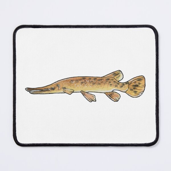 Item preview, Alligator Gar designed and sold by sirenvulture.