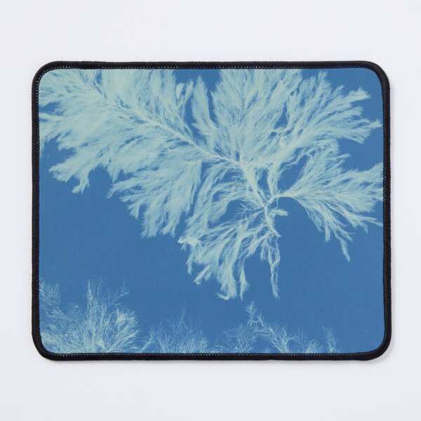 Item preview, Algae designed and sold by 19th Century in Color.
