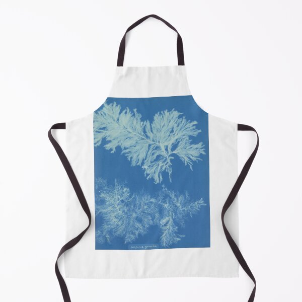 Item preview, Algae designed and sold by 19th Century in Color.