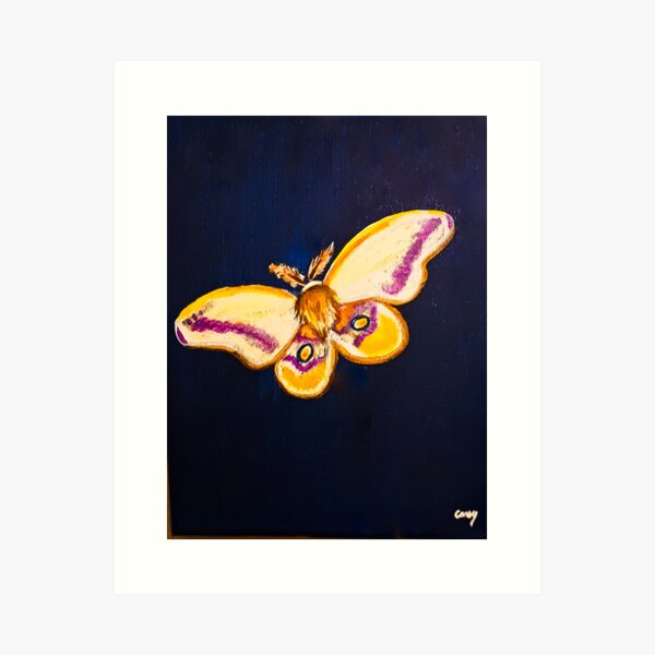 Item preview, Moth by Night designed and sold by Earthbound Spirit.