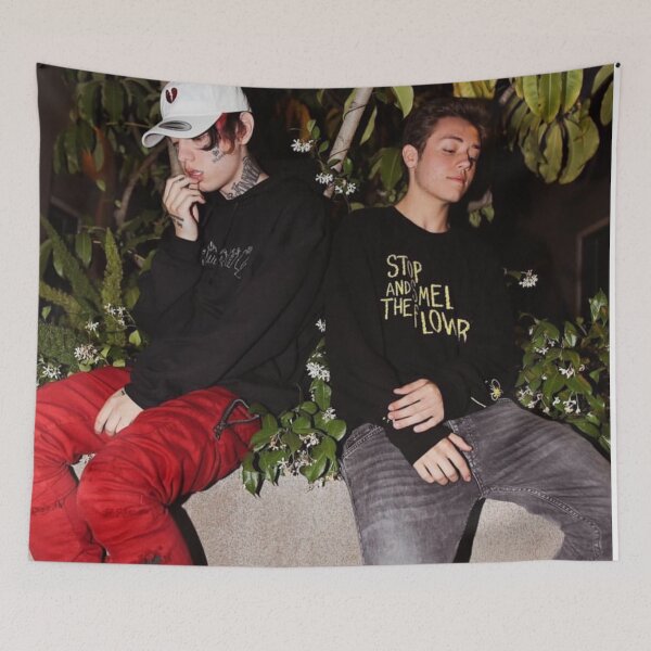 Item preview, Lil Xan and Ethan Cutkosky designed and sold by LenaG56.