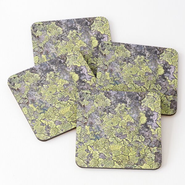 Item preview, lichen designed and sold by KathleenDawson.