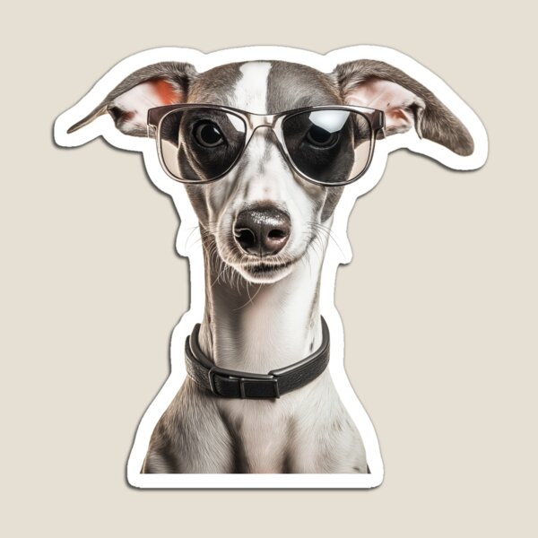 Item preview, Funny cool Whippet Dog wearing sunglasses designed and sold by LazyOwlStore.