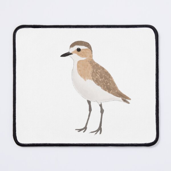 Item preview, Mountain plover designed and sold by PuffyFeathers.