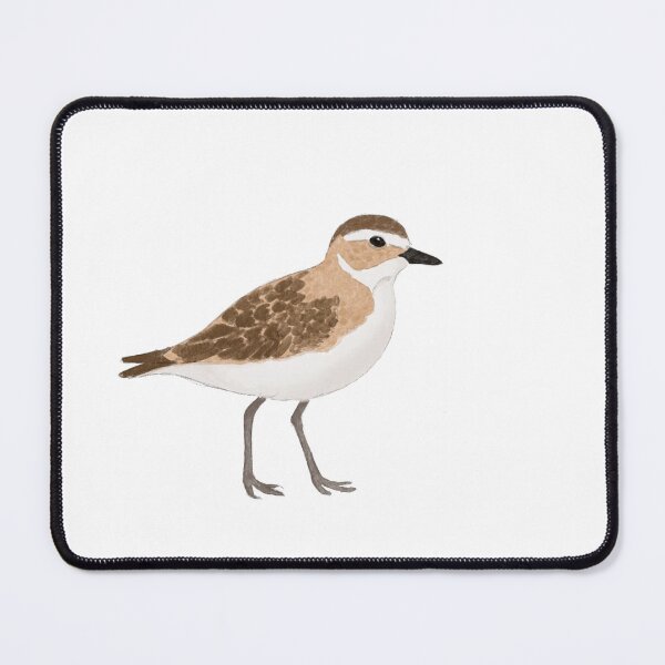 Item preview, Mountain plover designed and sold by PuffyFeathers.