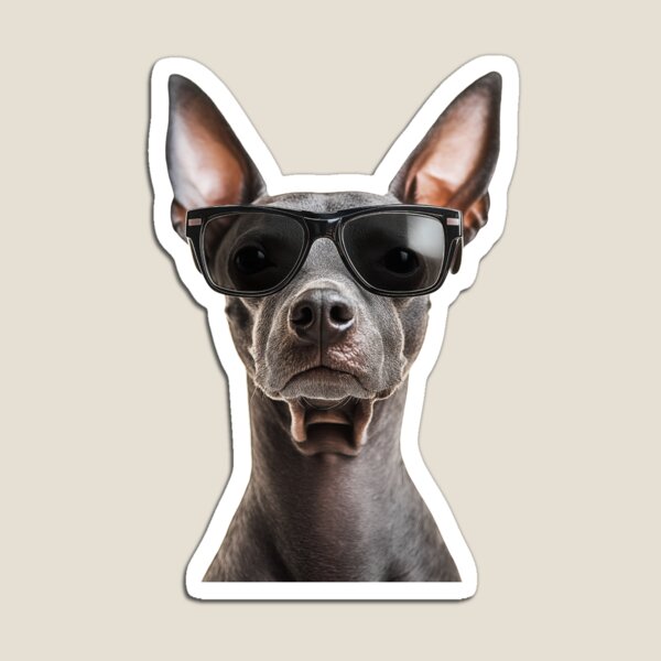 Vista previa del artículo con la obra «Divertido y genial perro Xoloitzcuintle con gafas de sol», diseñado y vendido por LazyOwlStore.