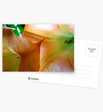 INTERCOURSE Postcards