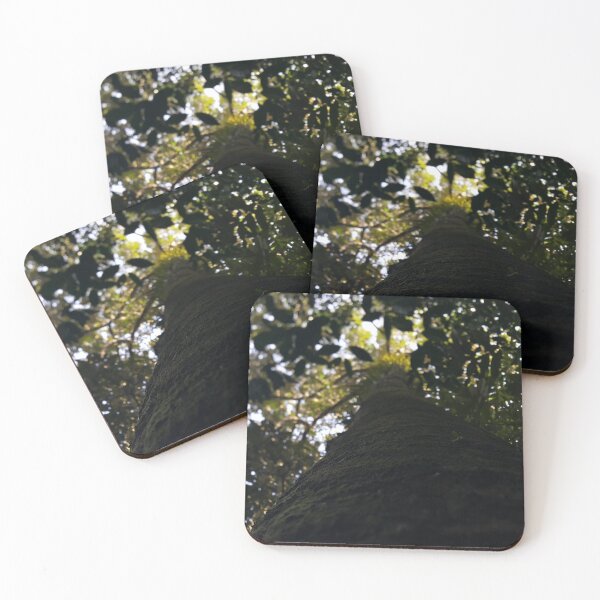 Item preview, Tree Wallpaper in the jungle from a low angle designed and sold by Yusuf-Design.