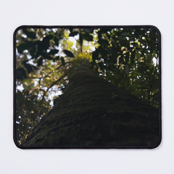 Item preview, Tree Wallpaper in the jungle from a low angle designed and sold by Yusuf-Design.