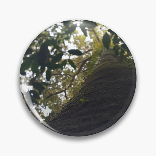 Item preview, Trees in the forest from a low angle. Perfect for Nature Lovers who love Forest.  designed and sold by Yusuf-Design.