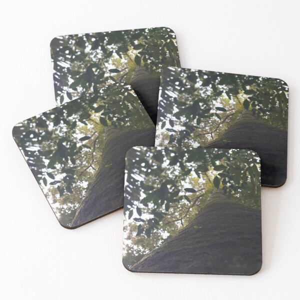 Item preview, Trees in the forest from a low angle. Perfect for Nature Lovers who love Forest.  designed and sold by Yusuf-Design.