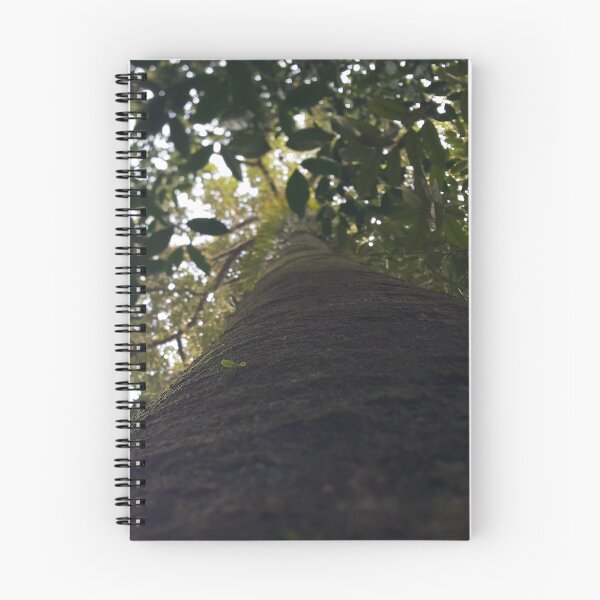 Item preview, Trees in the forest from a low angle. Perfect for Nature Lovers who love Forest.  designed and sold by Yusuf-Design.