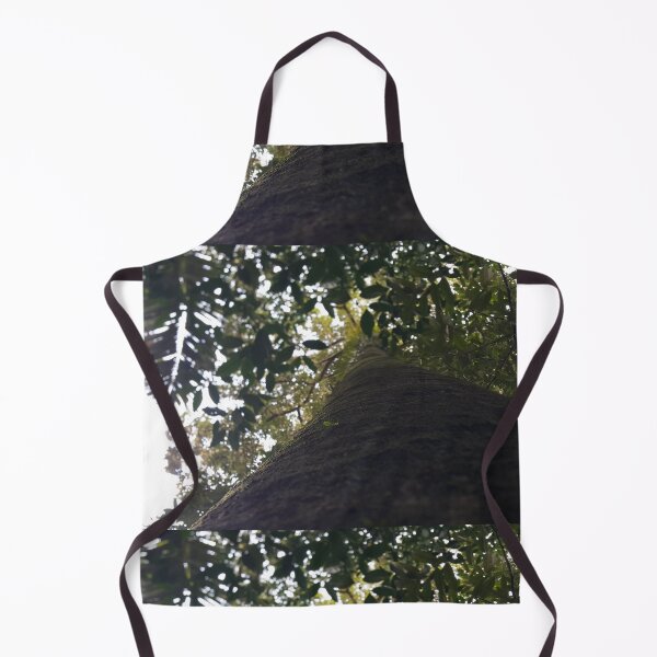 Item preview, Trees in the forest from a low angle. Perfect for Nature Lovers who love Forest. designed and sold by Yusuf-Design.